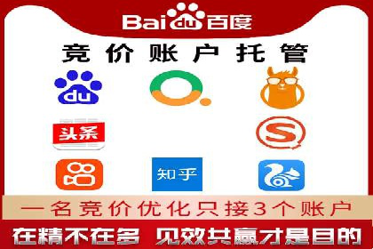 成功企业SEM竞价代运营案例研究